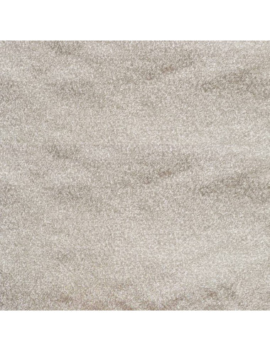 Silver fabric for clothing