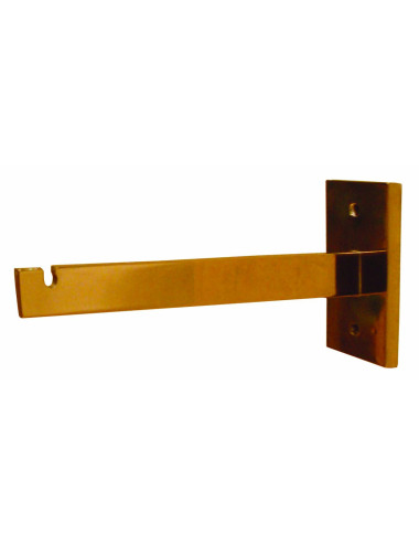 Arm for holding Lamp
